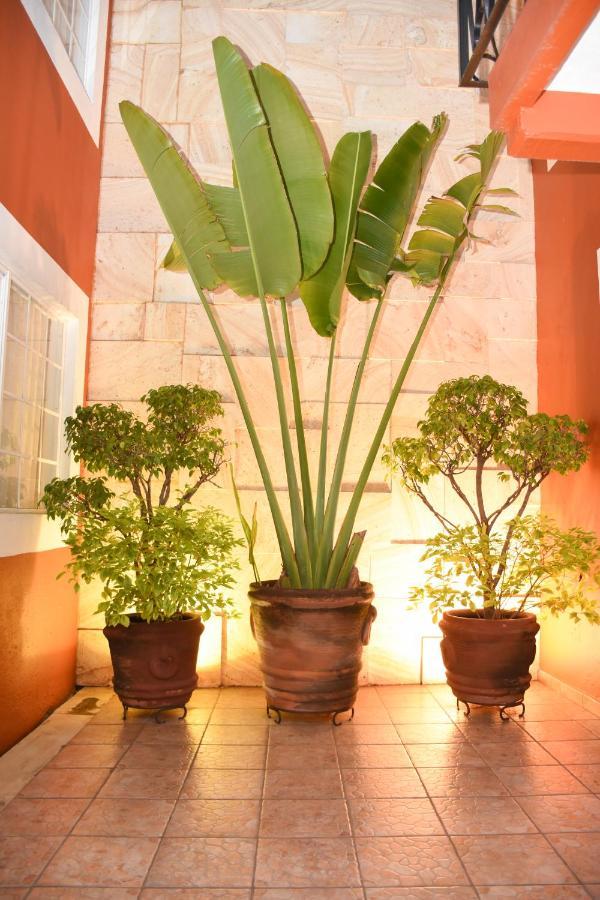 Hotel Camba Oaxaca Extérieur photo