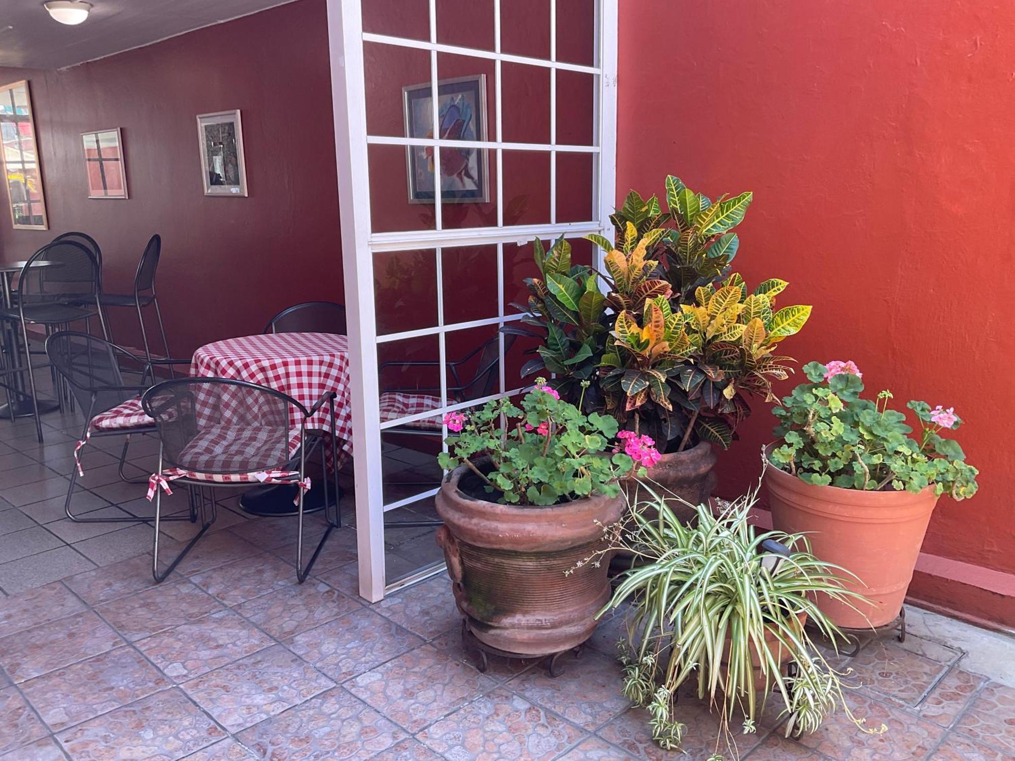 Hotel Camba Oaxaca Extérieur photo