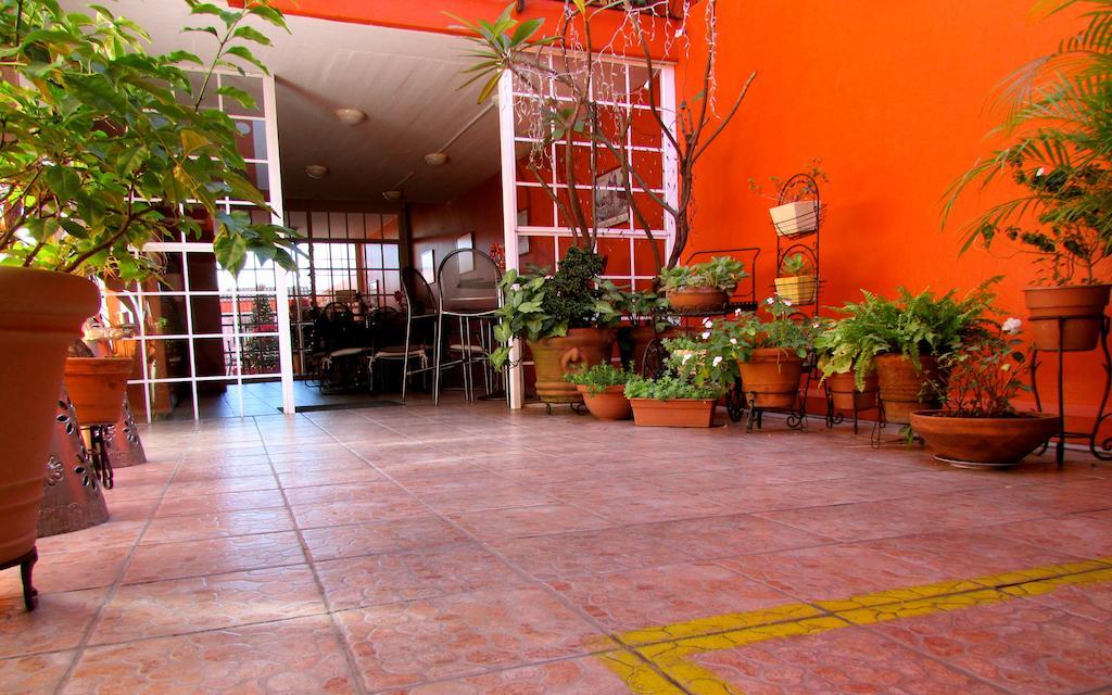 Hotel Camba Oaxaca Extérieur photo